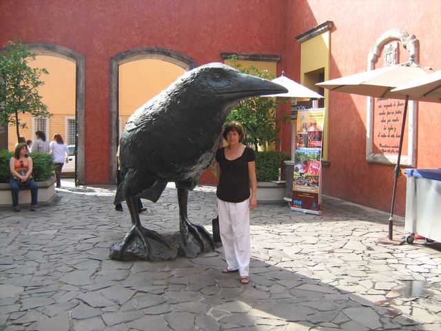 Una foto con el cuervito