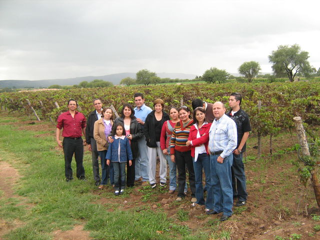 EN LOS VIÑEDOS DE SAN LUIS DE LETRAS
