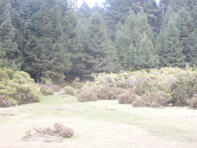 Santuario Mariposa Monarca